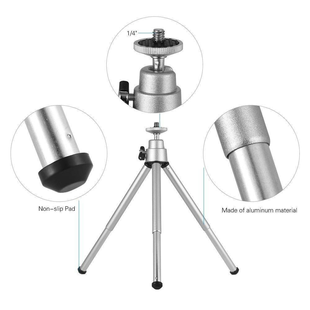 Portable Lantern Stand Outdoor - Fishing Gear 评论和价格